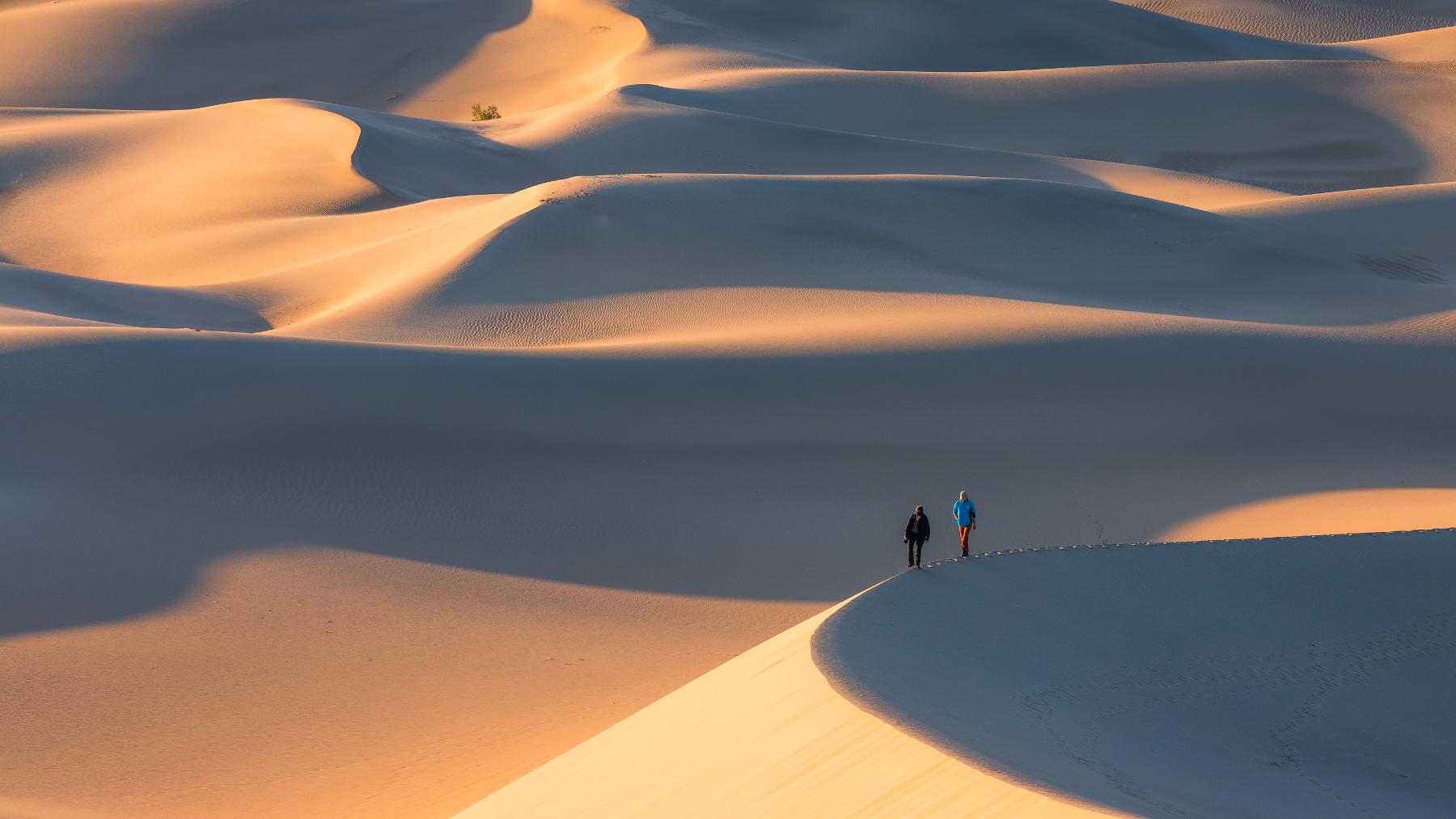 Experience. Vision. Purpose.